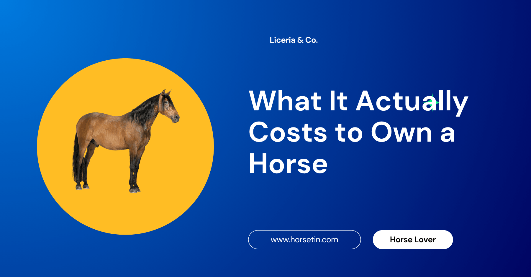 What It Actually Costs to Own a Horse