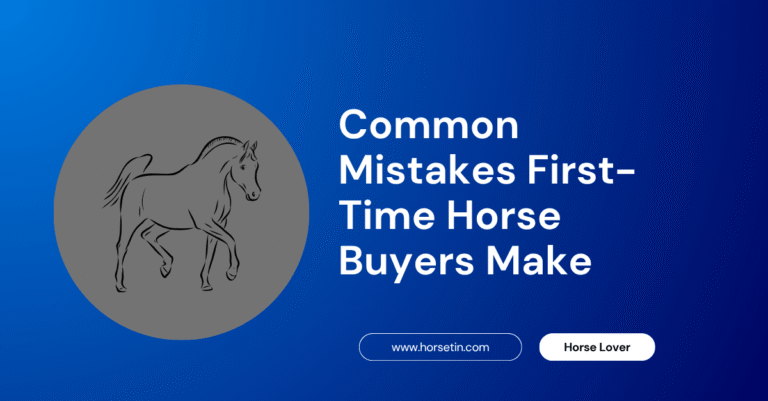 Common Mistakes First-Time Horse Buyers Make