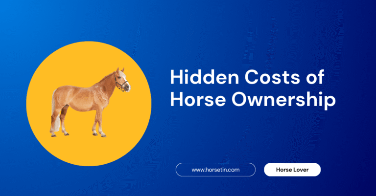 Hidden Costs of Horse Ownership