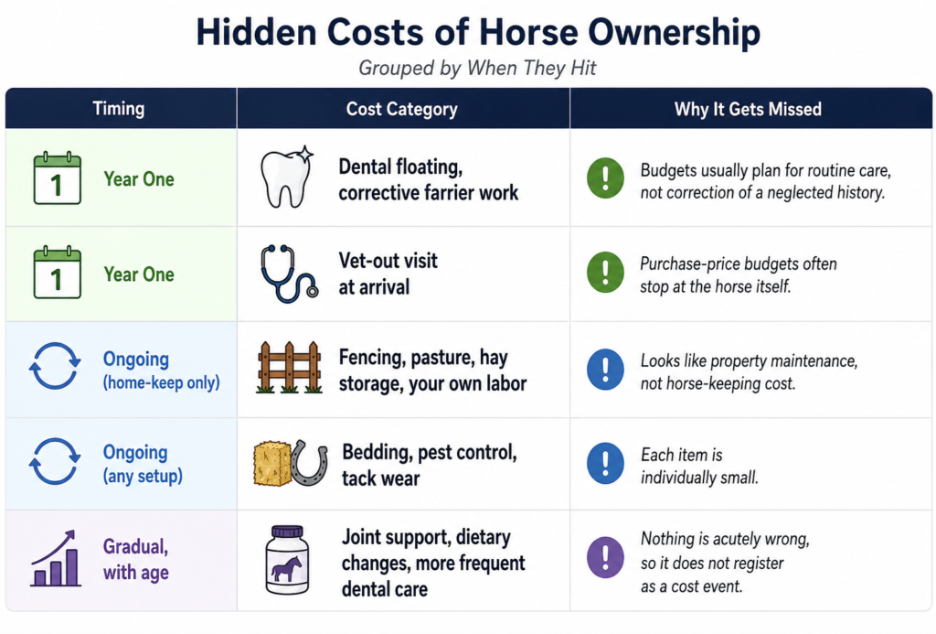 hidden costs of horse ownership