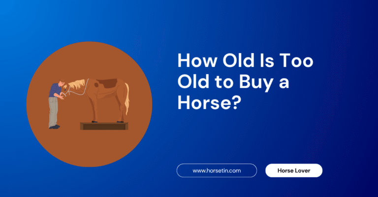 How Old Is Too Old to Buy a Horse?