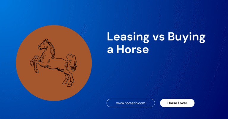Leasing vs Buying a Horse